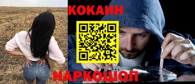 jwh Новозыбков
