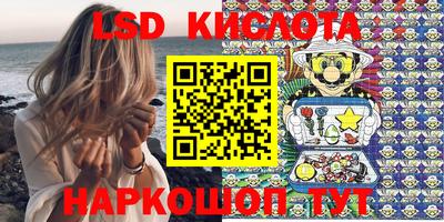 spice Новодвинск