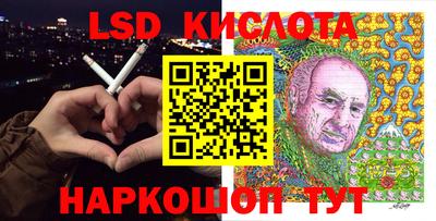 spice Новодвинск
