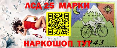 spice Новодвинск