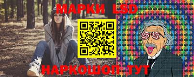 spice Новодвинск