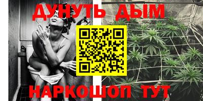 jwh Новозыбков