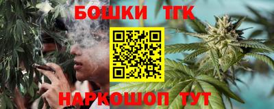 spice Новодвинск