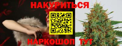 spice Новодвинск