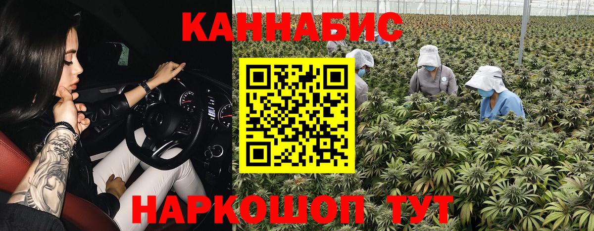 Конопля MAZAR  Каннабис MAZAR  Вход с VPN  МАРИХУАНА SATIVA & INDICA  Орехово-Зуево 